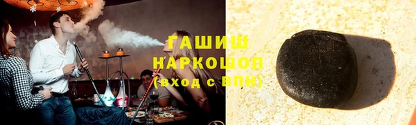 крисы Бородино