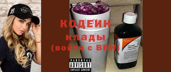 крисы Бородино