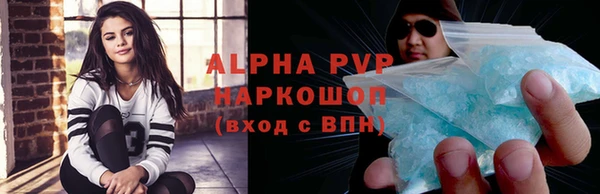 крисы Бородино