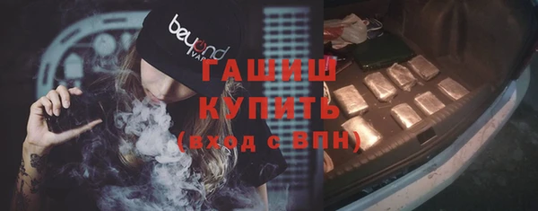 крисы Бородино