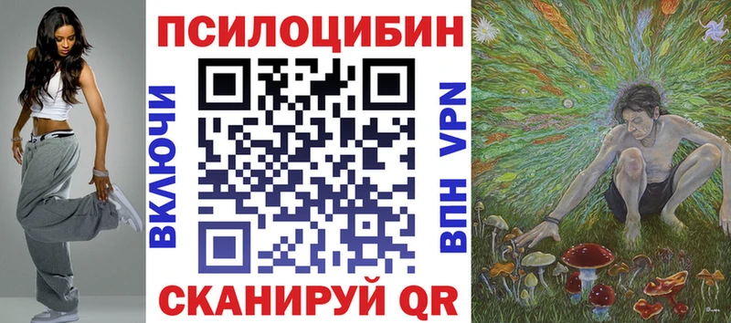 где можно купить наркотик Луховицы Псилоцибиновые грибы Psilocybine cubensis