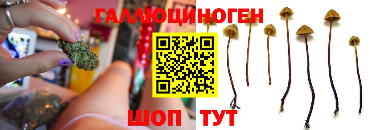Луховицы  Галлюциногенные грибы мухоморы  Вход с VPN 